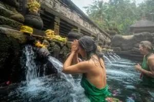 Gallery Thumbnail 3